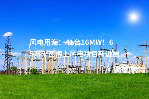 風(fēng)電用海：41臺16MW！65萬千瓦海上風(fēng)電項(xiàng)目新進(jìn)展