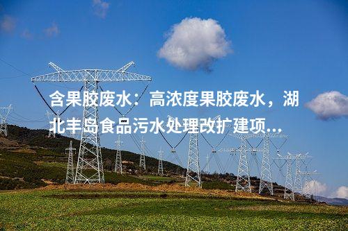 含果膠廢水：高濃度果膠廢水，湖北豐島食品污水處理改擴(kuò)建項(xiàng)目擬實(shí)施！