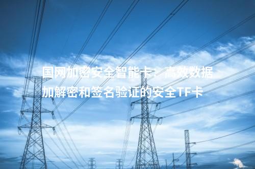 國(guó)網(wǎng)加密安全智能卡：高效數(shù)據(jù)加解密和簽名驗(yàn)證的安全TF卡