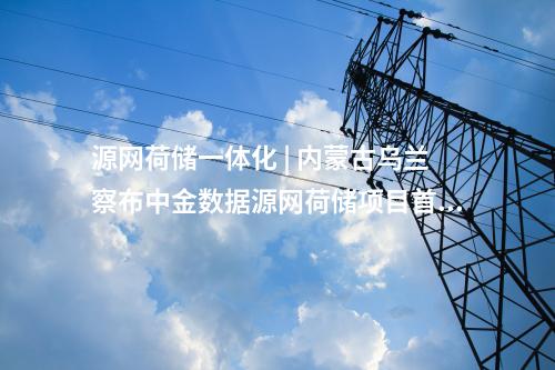 源網(wǎng)荷儲(chǔ)一體化 | 內(nèi)蒙古烏蘭察布中金數(shù)據(jù)源網(wǎng)荷儲(chǔ)項(xiàng)目首臺(tái)風(fēng)機(jī)基礎(chǔ)完成澆筑