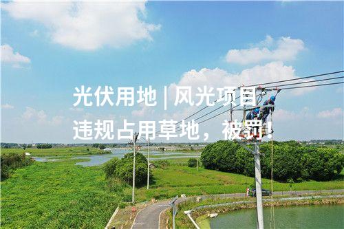 光伏用地 | 風(fēng)光項(xiàng)目違規(guī)占用草地，被罰！