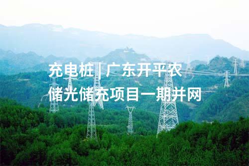 抽水蓄能電站 | 浙江松陽(yáng)抽蓄電站機(jī)組第二次設(shè)計(jì)聯(lián)絡(luò)會(huì)召開