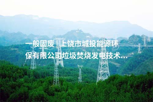 生活垃圾焚燒發(fā)電廠 | 六景循環(huán)經(jīng)濟產(chǎn)業(yè)園生活垃圾焚燒發(fā)電廠項目順利通過環(huán)保設(shè)施驗收