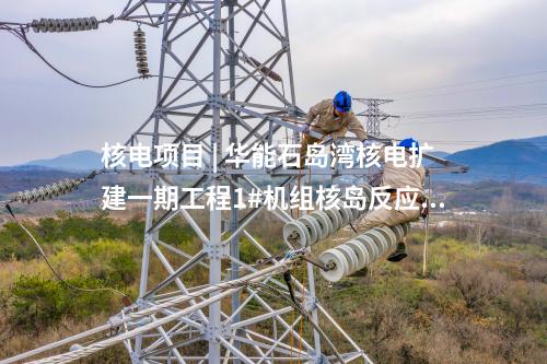 火電項目 | 一周電力項目匯總(2025.1.6-1.10)—核準、開工、并網(wǎng)等