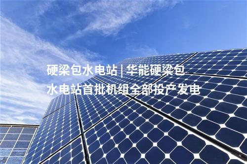 硬梁包水電站 | 華能硬梁包水電站首批機(jī)組全部投產(chǎn)發(fā)電