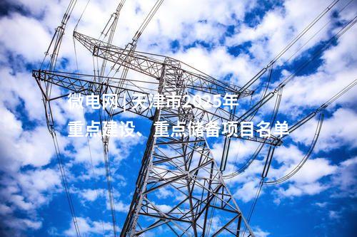 微電網(wǎng) | 天津市2025年重點建設(shè)、重點儲備項目名單