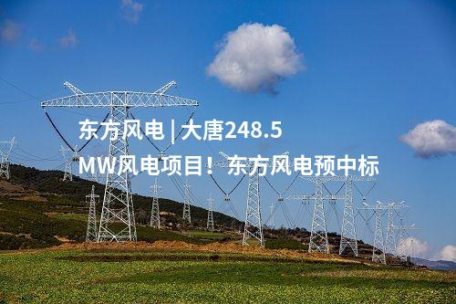 東方風(fēng)電 | 大唐248.5MW風(fēng)電項目！東方風(fēng)電預(yù)中標(biāo)