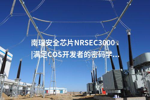 <a href=http://www.bcculture.com.cn/info/23.html target=_blank class=infotextkey>南瑞安全芯片NRSEC3000</a>|代碼保護(hù)全方位