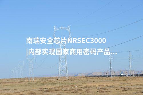 <a href=http://www.bcculture.com.cn/info/23.html target=_blank class=infotextkey>南瑞安全芯片NRSEC3000</a>|COS開發(fā)者加密需求
