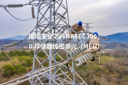<a href=http://www.bcculture.com.cn/info/23.html target=_blank class=infotextkey>南瑞安全芯片NRSEC3000</a>|存儲器加密單元(MEU)