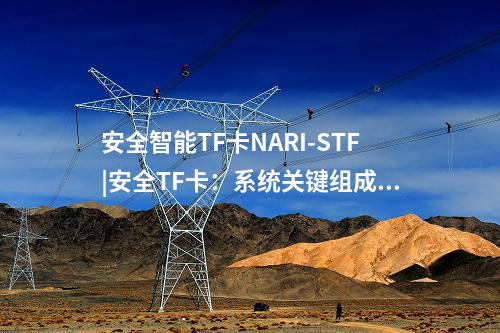 安全智能TF卡NARI-STF|安全TF卡:系統(tǒng)關(guān)鍵組成部分
