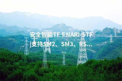 安全智能TF卡NARI-STF|支持SM2、SM3、RSA2048等多種密碼算法