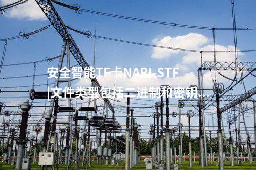 安全智能TF卡NARI-STF|文件類型包括二進制和密鑰文件
