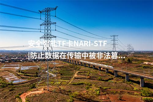 安全智能TF卡NARI-STF|提供主要密碼服務(wù)功能