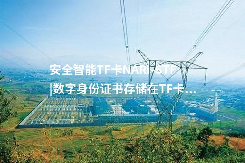 安全智能TF卡NARI-STF|數(shù)字身份證書存儲(chǔ)在TF卡中