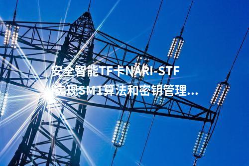 安全智能TF卡NARI-STF|實(shí)現(xiàn)SM1算法和密鑰管理功能