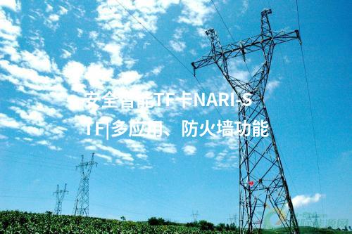 安全智能TF卡NARI-STF|多應用、防火墻功能