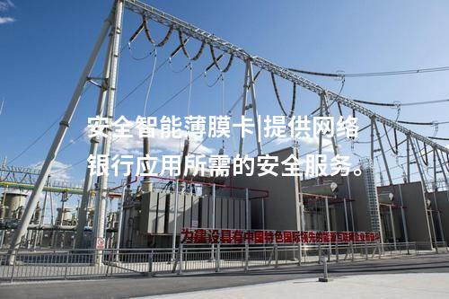安全智能薄膜卡|提供網(wǎng)絡(luò)銀行應(yīng)用所需的安全服務(wù)。