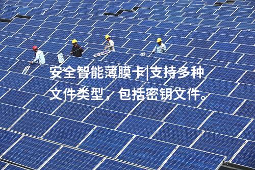 安全智能薄膜卡|安全智能薄膜卡支持?jǐn)?shù)字證書功能。