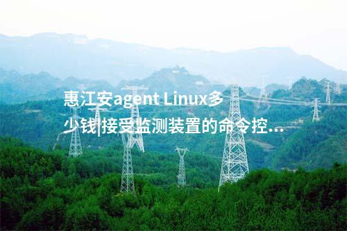 廠站網(wǎng)絡(luò)安全監(jiān)測(cè)軟件（agent）|安裝在工作站和嵌入式主機(jī)中。