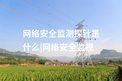 網(wǎng)絡(luò)安全監(jiān)測探針軟件|全面貫通