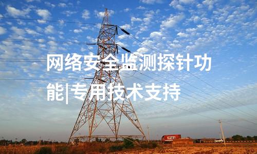 網(wǎng)絡(luò)安全監(jiān)測探針功能|專用技術(shù)支持