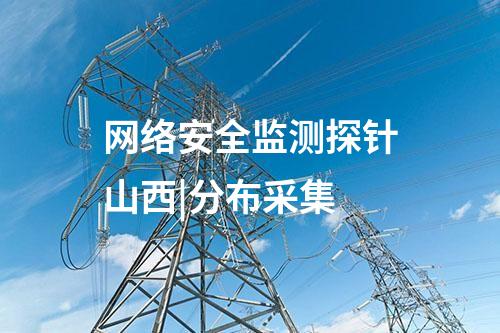網(wǎng)絡(luò)安全監(jiān)測(cè)探針山西|分布采集