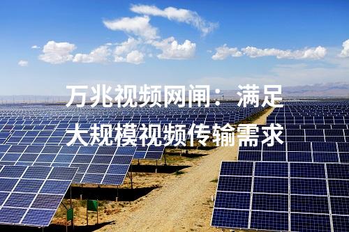 萬(wàn)兆視頻網(wǎng)閘：滿(mǎn)足大規(guī)模視頻傳輸需求