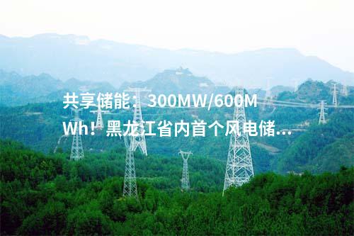 共享儲(chǔ)能：300MW/600MWh！黑龍江省內(nèi)首個(gè)風(fēng)電儲(chǔ)能項(xiàng)目開工