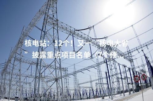 核電站：12個(gè)！又一“核電大省”披露重點(diǎn)項(xiàng)目名單（7個(gè)預(yù)備項(xiàng)目）